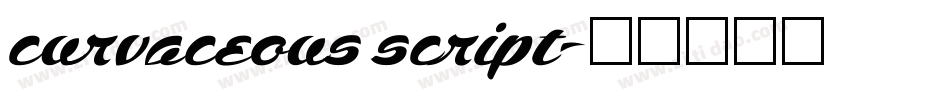 curvaceous script字体转换